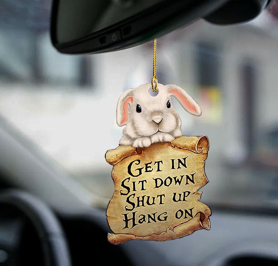 Bunny get in sit down shut up hang out ornament1