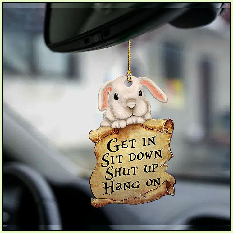 Bunny get in sit down shut up hang out ornament4
