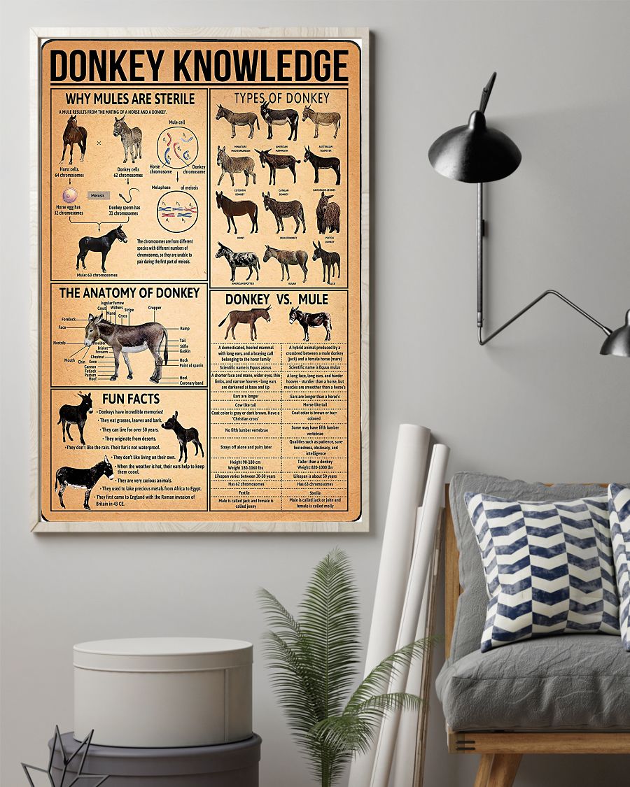Donkey knowledge poster 1