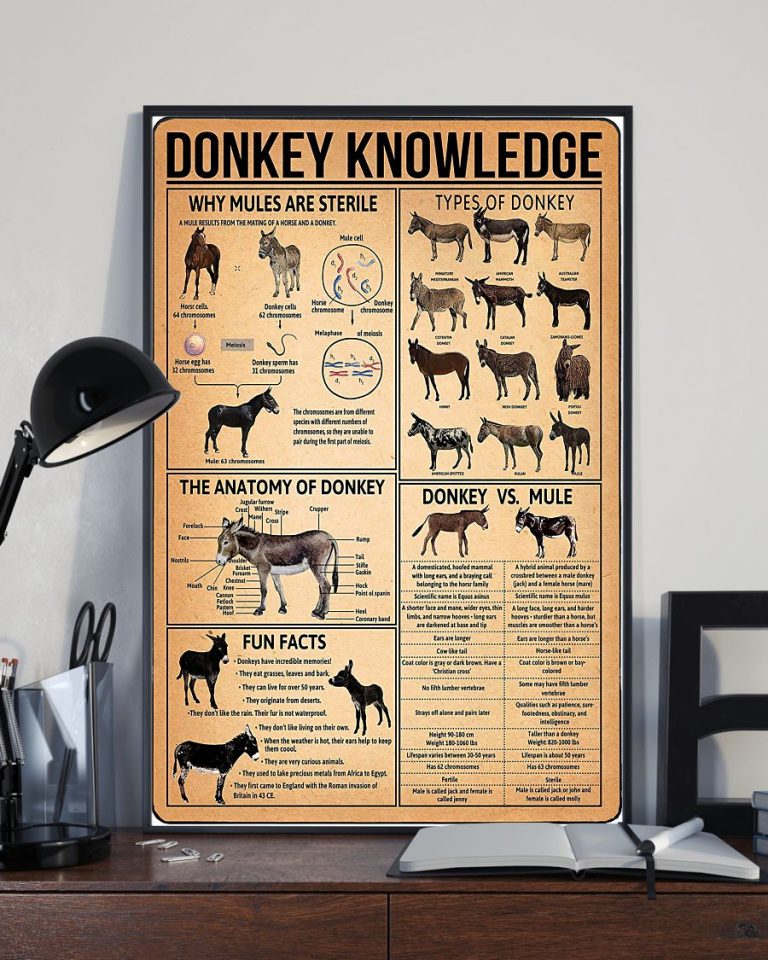 Donkey knowledge poster 2