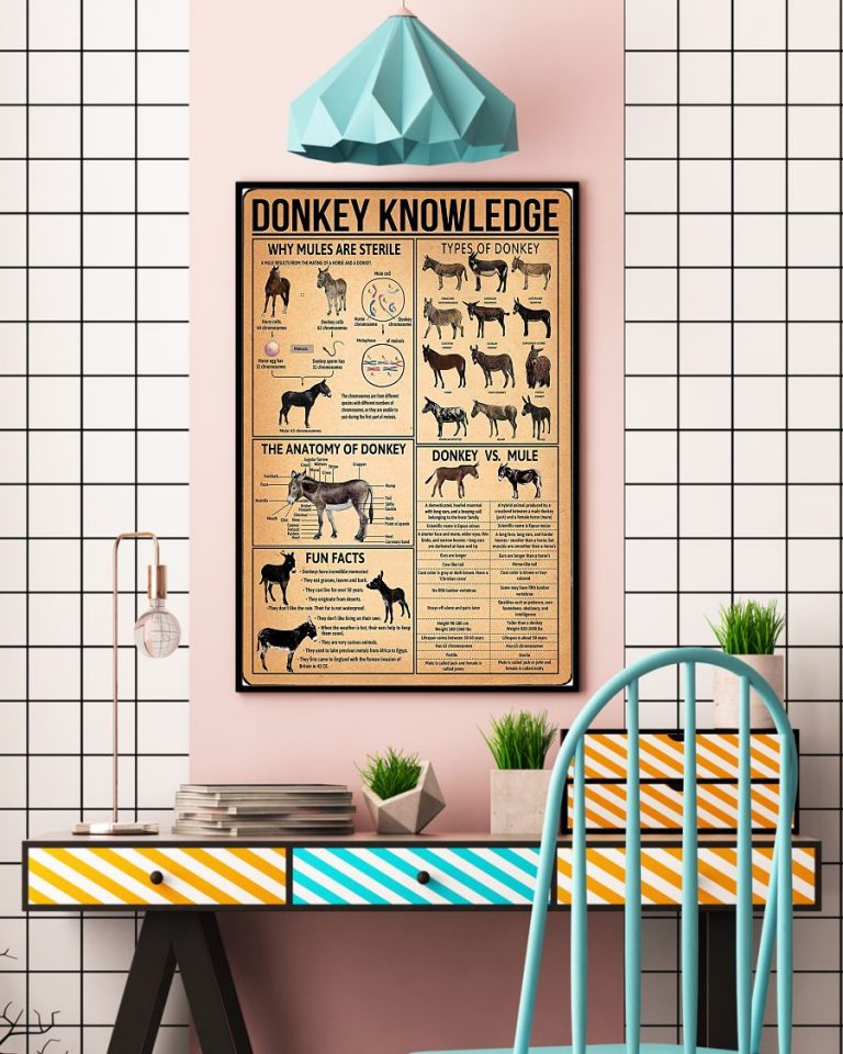 Donkey knowledge poster 3
