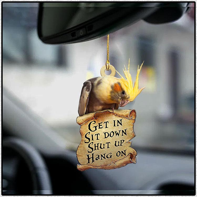 Grey Cockatiel get in sit down shut up hang out ornament4