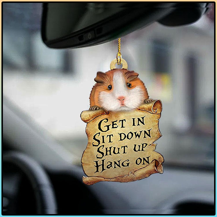 Guinea pig get in sit down shut up hang out ornament4