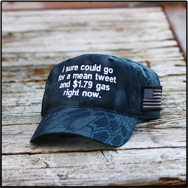 I Sure Could Go For A Mean Tweet Hat Cap1
