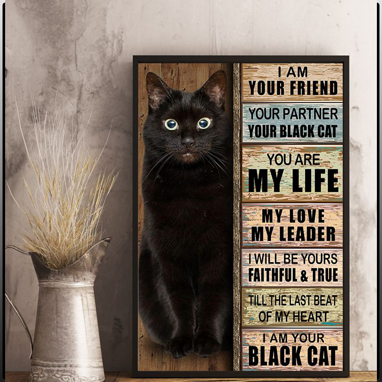 I am your friend your partner your black cat you are my life poster6