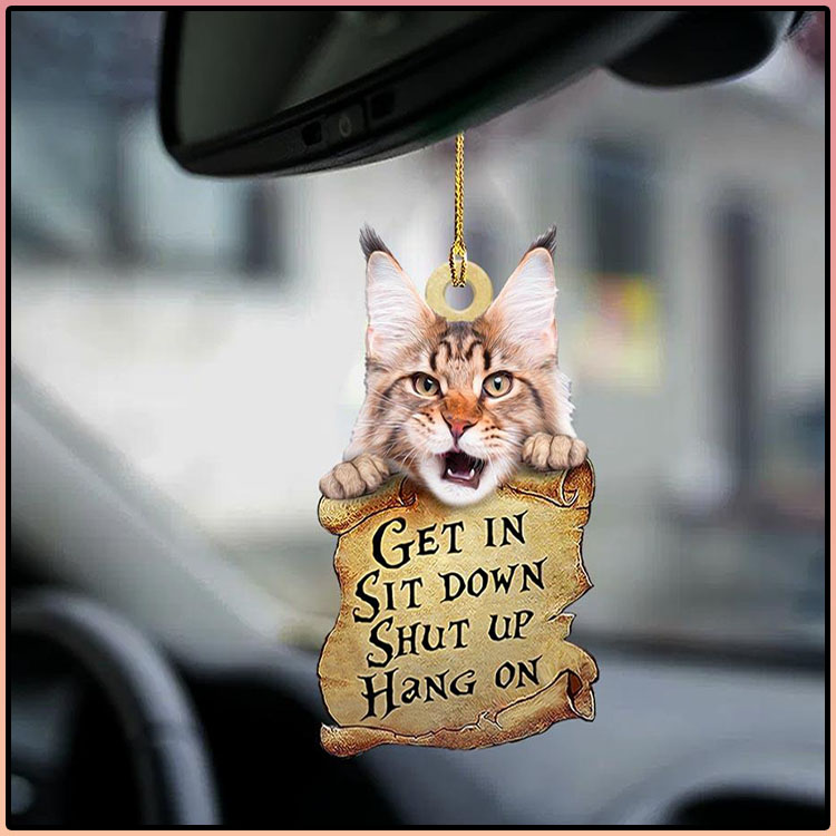 Maine coon get in sit down shut up hang out ornament4