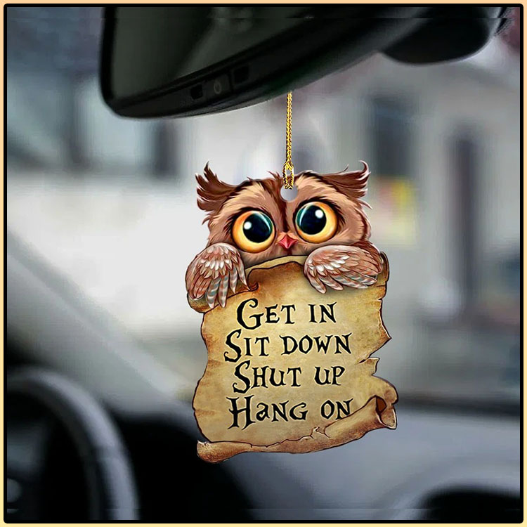Owl get in owl lover two sided ornament4