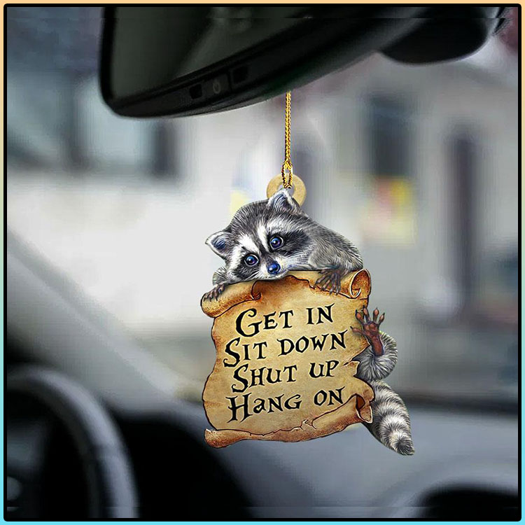 Raccoon get in raccoon lover two sided ornament4