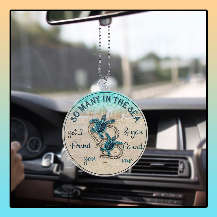 Turtle so many in the sea I found you car hanging ornament1