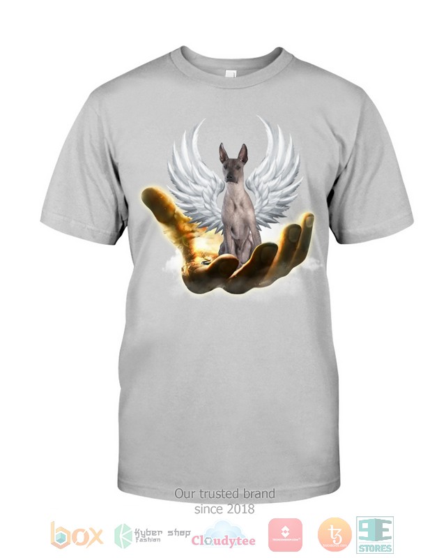 Xoloitzcuintli Golden Hand Heaven Wings 2D shirt hoodie