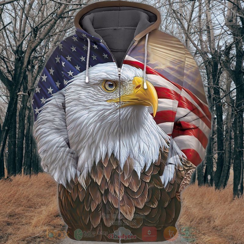 American Flag and Eagle 3D Zip Hoodie