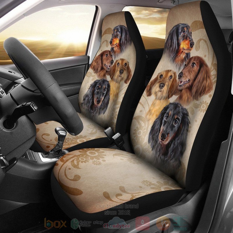 Vintage Dog Car Seat Cover