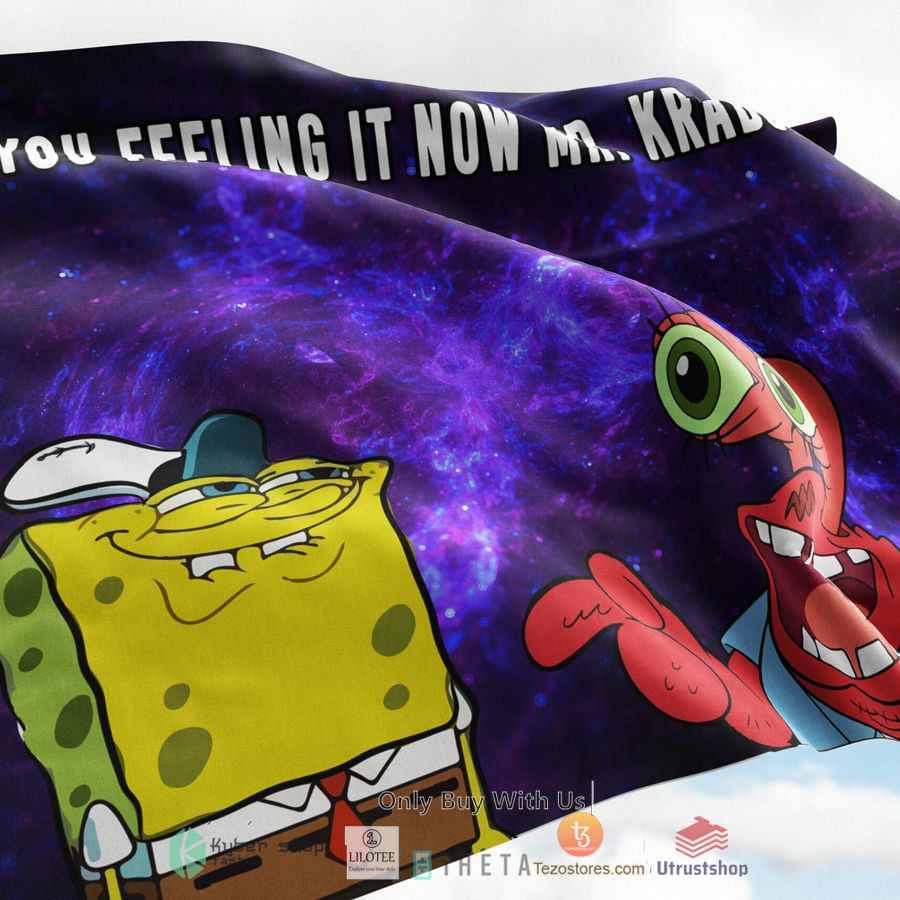 are you feeling now mr krabs rave flag 2 44203